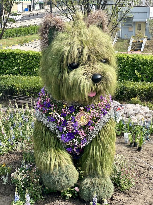 两千株植物拼出5.2米小狗！静安国际花卉展下周开幕，萌宠花海石库门免费拍