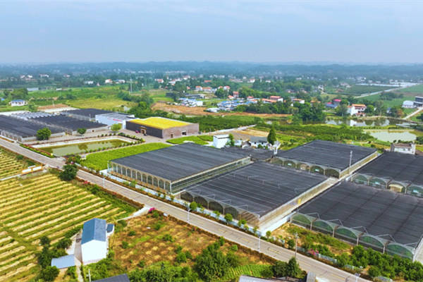 潼南：一座农科城 崛起西部农业科创高地